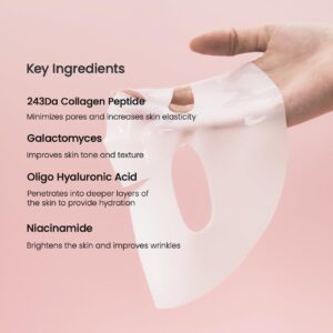 Bio Collagen Real Deep Hydrating Mask 34G